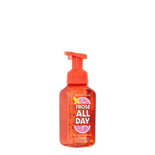 Frosé All Day Gentle & Clean Foaming Hand Soap - Bath and Body works